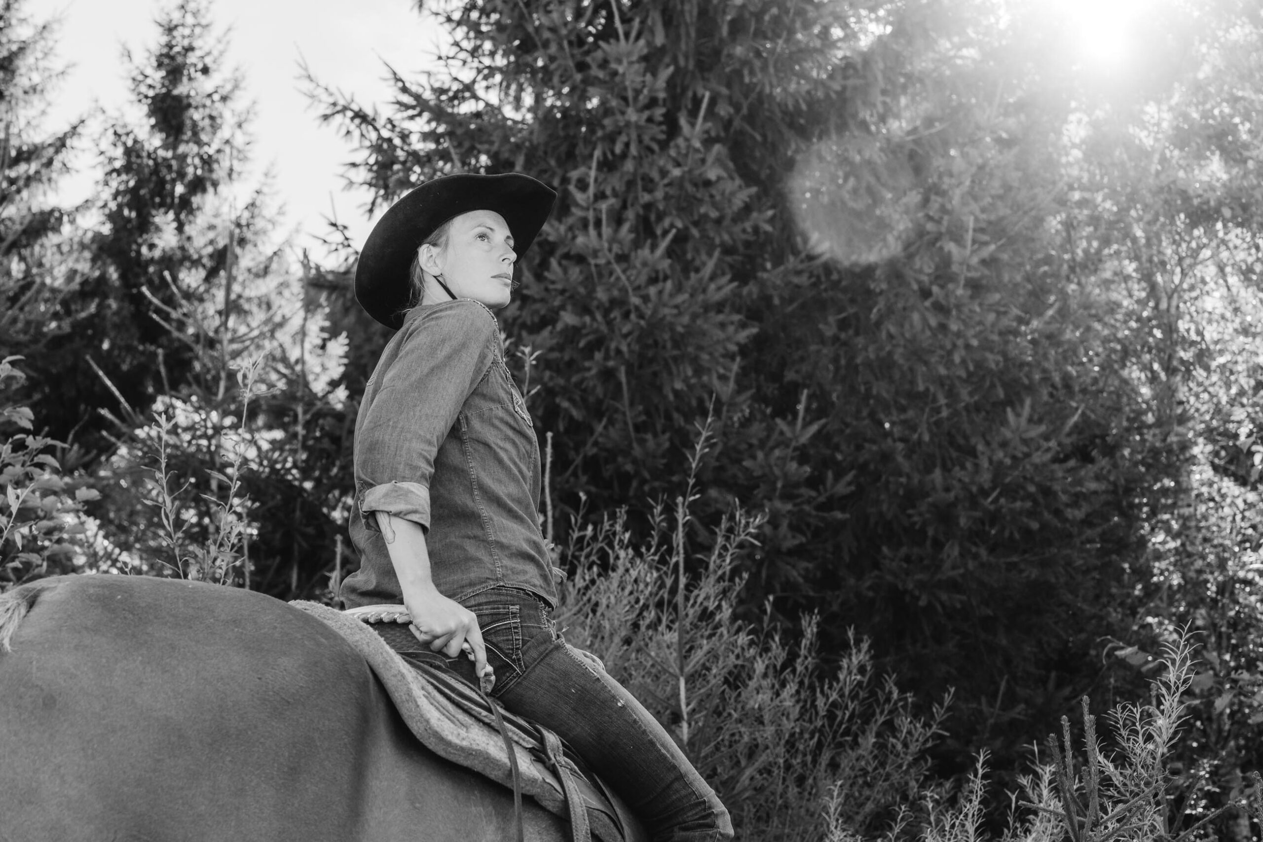 TDM_SimonettaWildRanch_Linda_Alta_2025.09.11-36