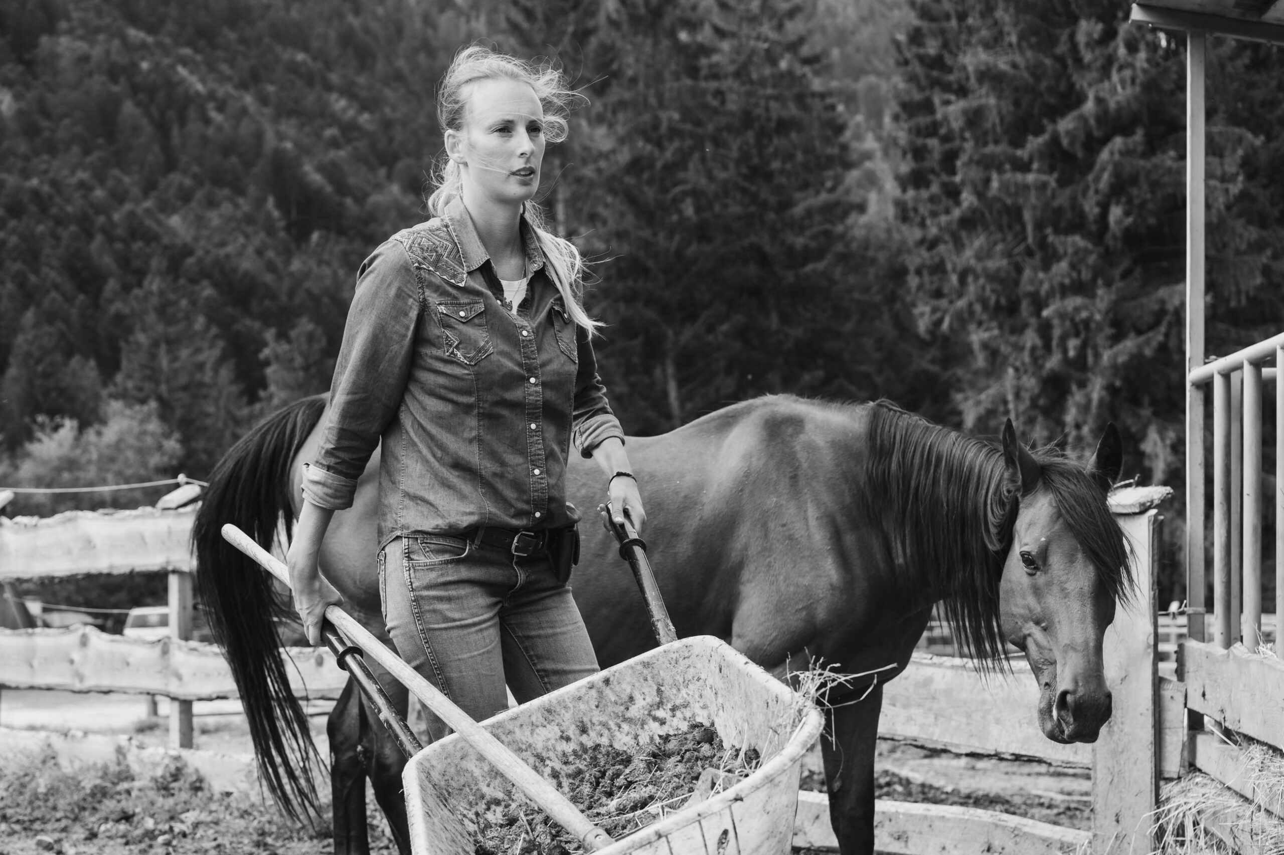 TDM_SimonettaWildRanch_Linda_Alta_2025.09.11-47